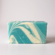 Załaduj obraz do przeglądarki galerii, Antibacterial Body Soap
